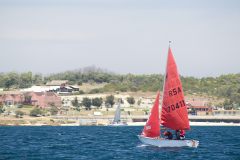 MG_3019