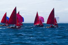 MG_3259